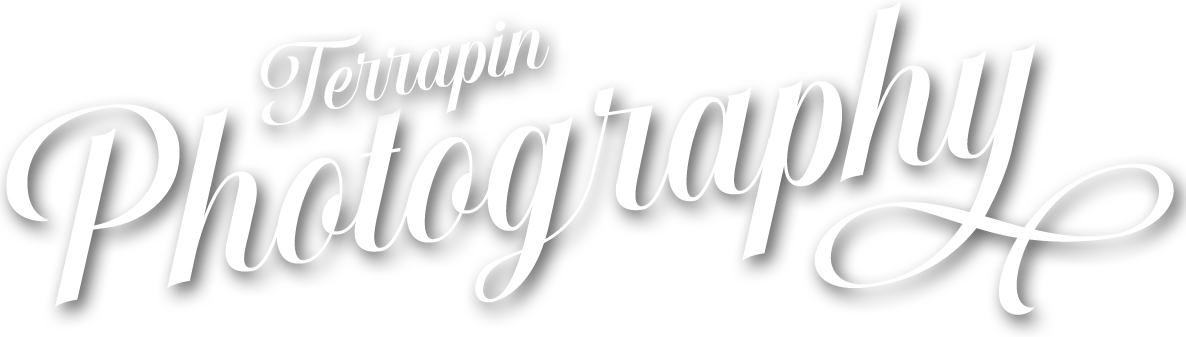 logo with Terrapin Photography text