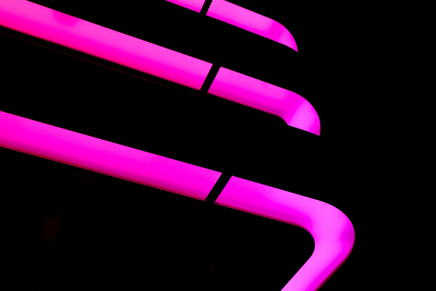 Lighting details The Neon Palm