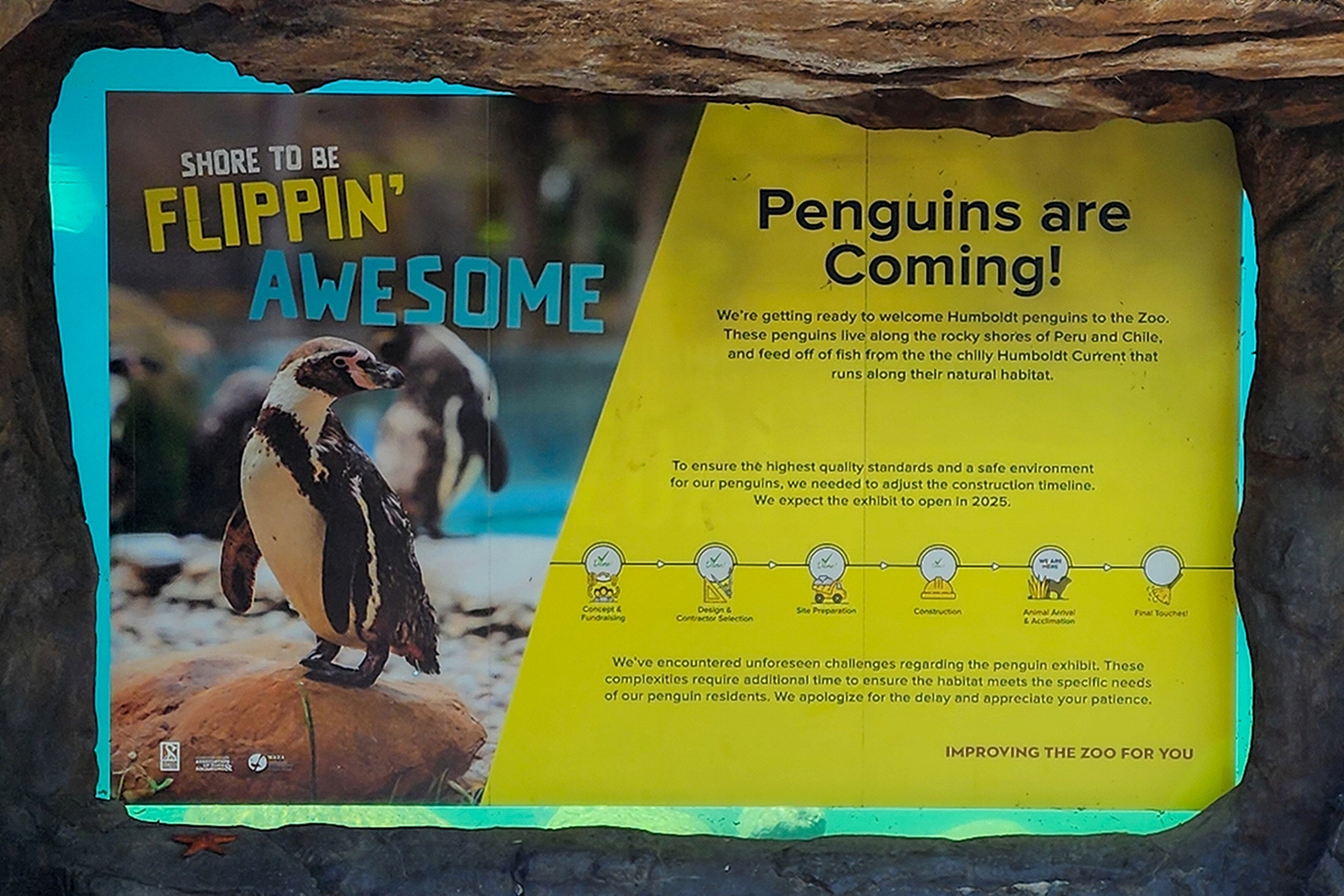 Shore to be a flippin' good time