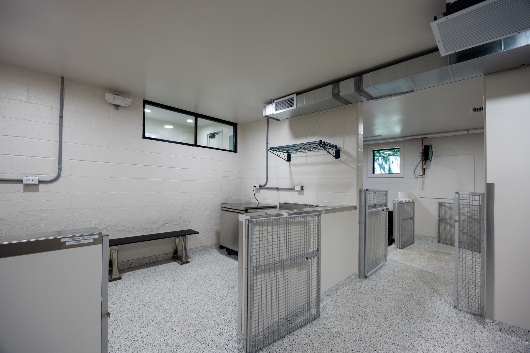 Visitor area inside the penguin exhibit facility
