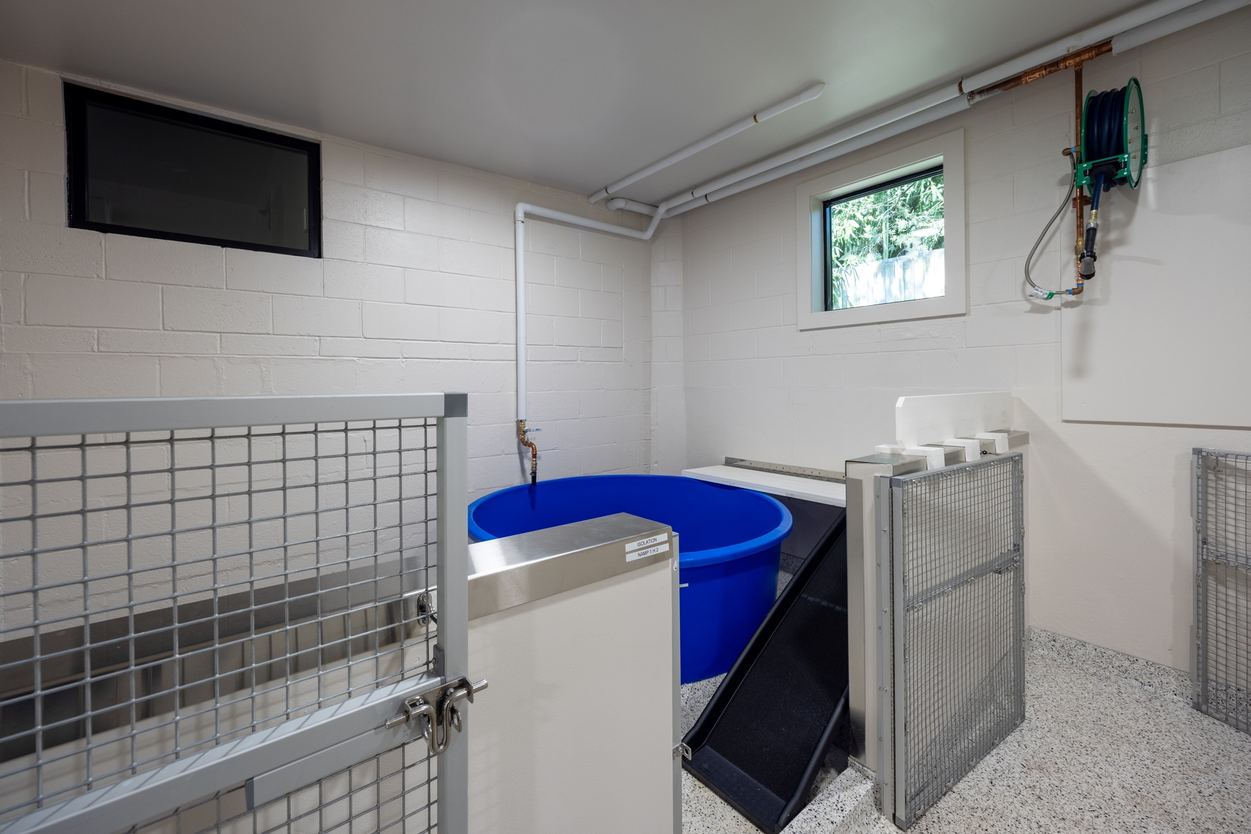 Medical and rehabilitation area penguin exhibit