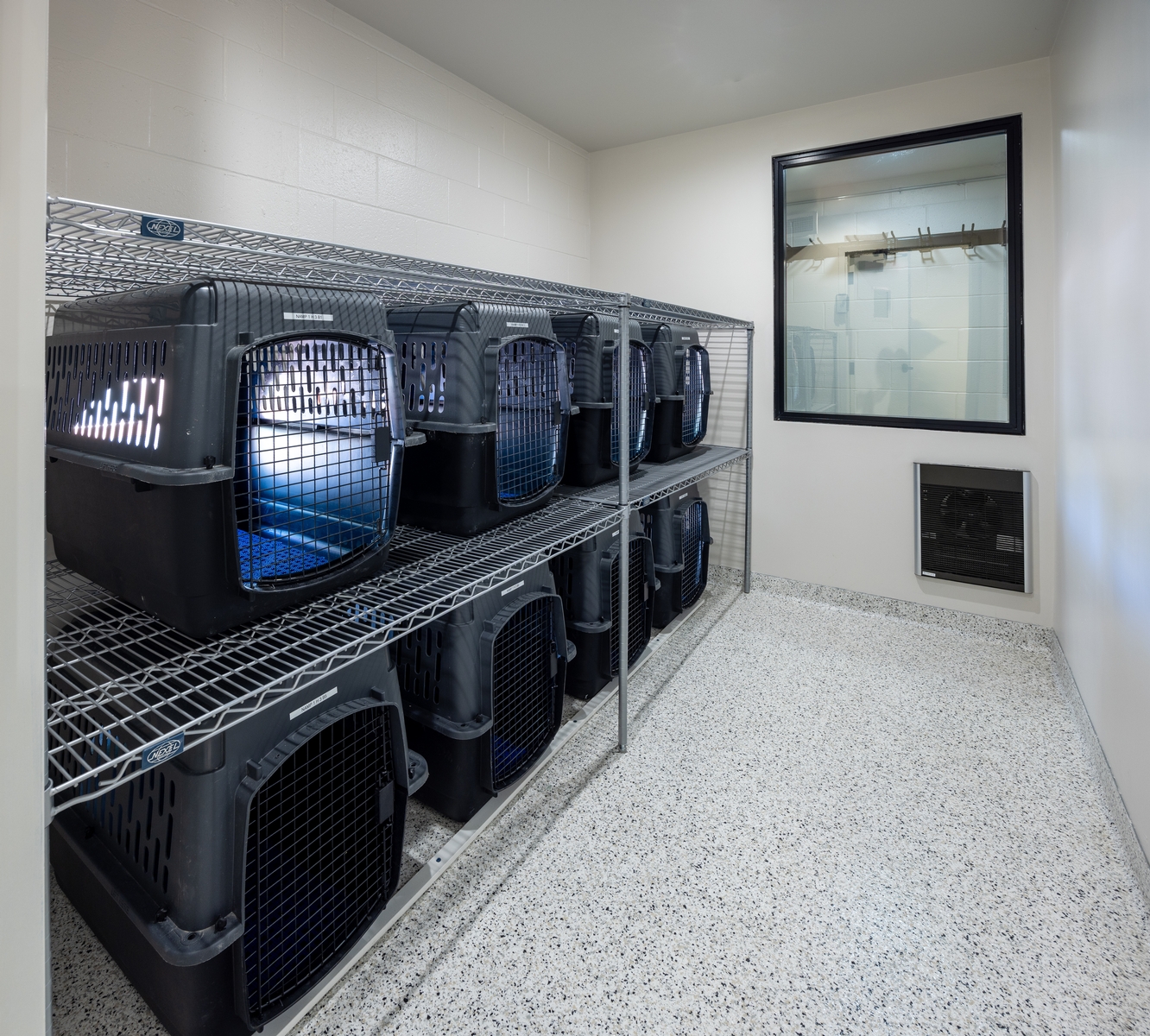 Where the penguins sleep