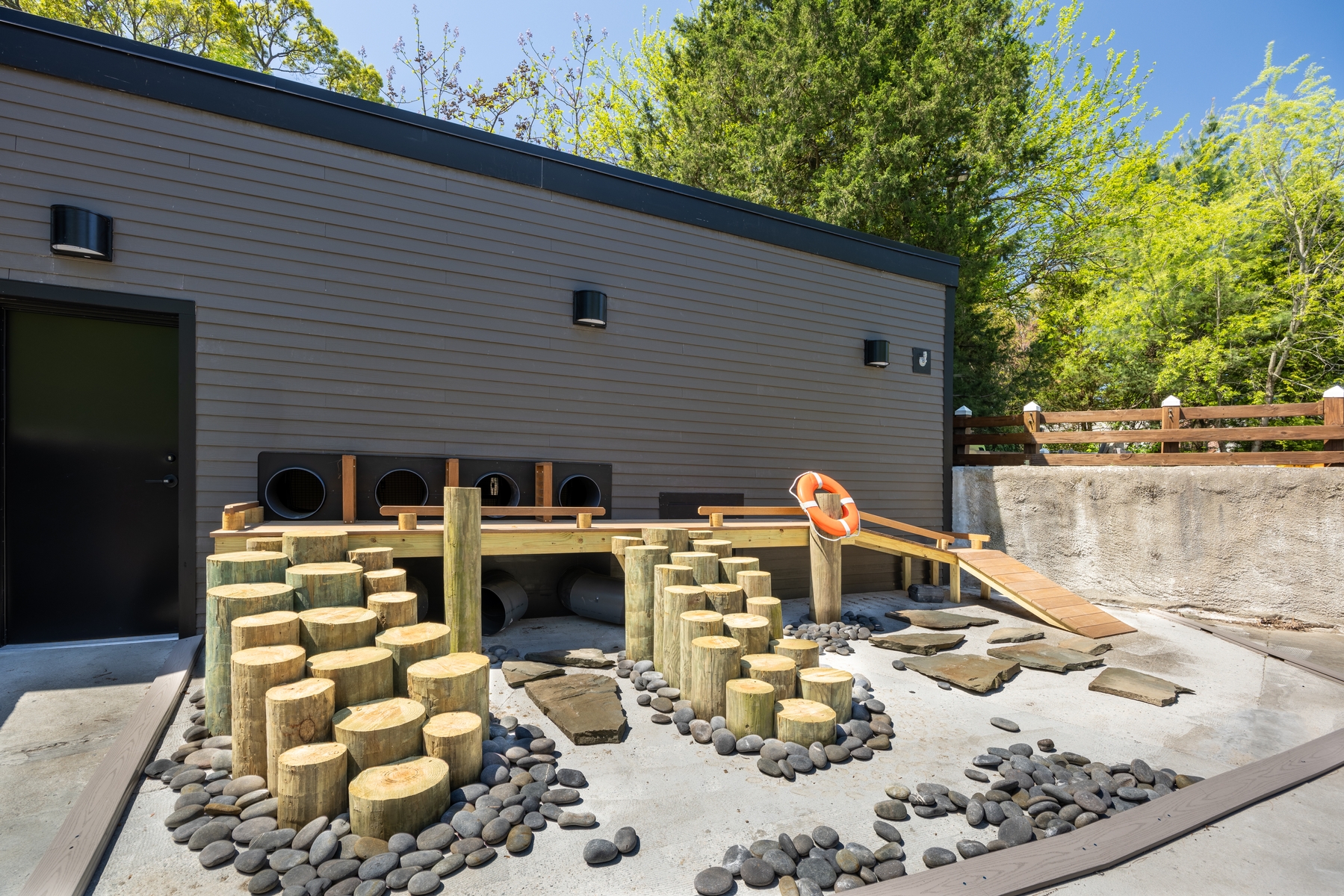 Entrance ramp for penguins to journey outside