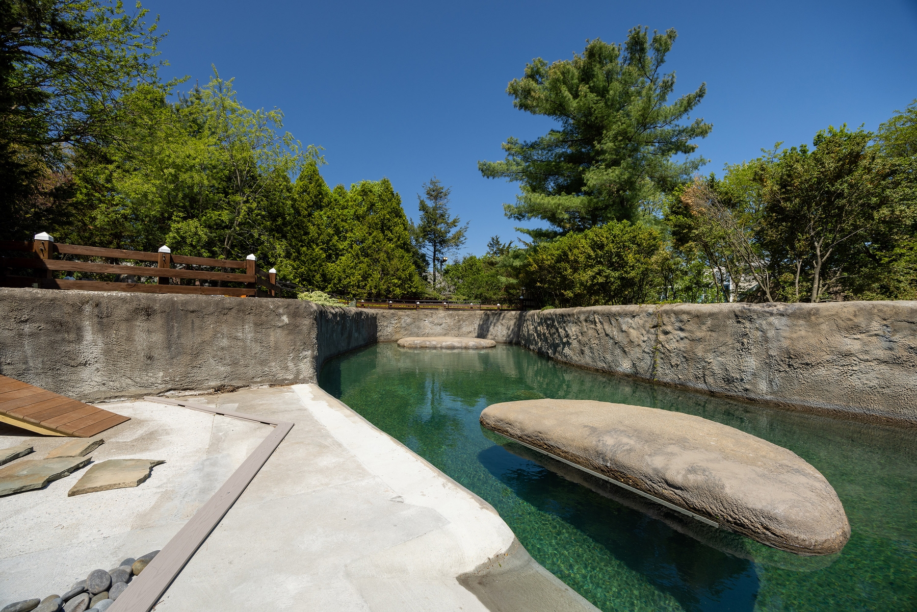 Outdoor Penguin pool