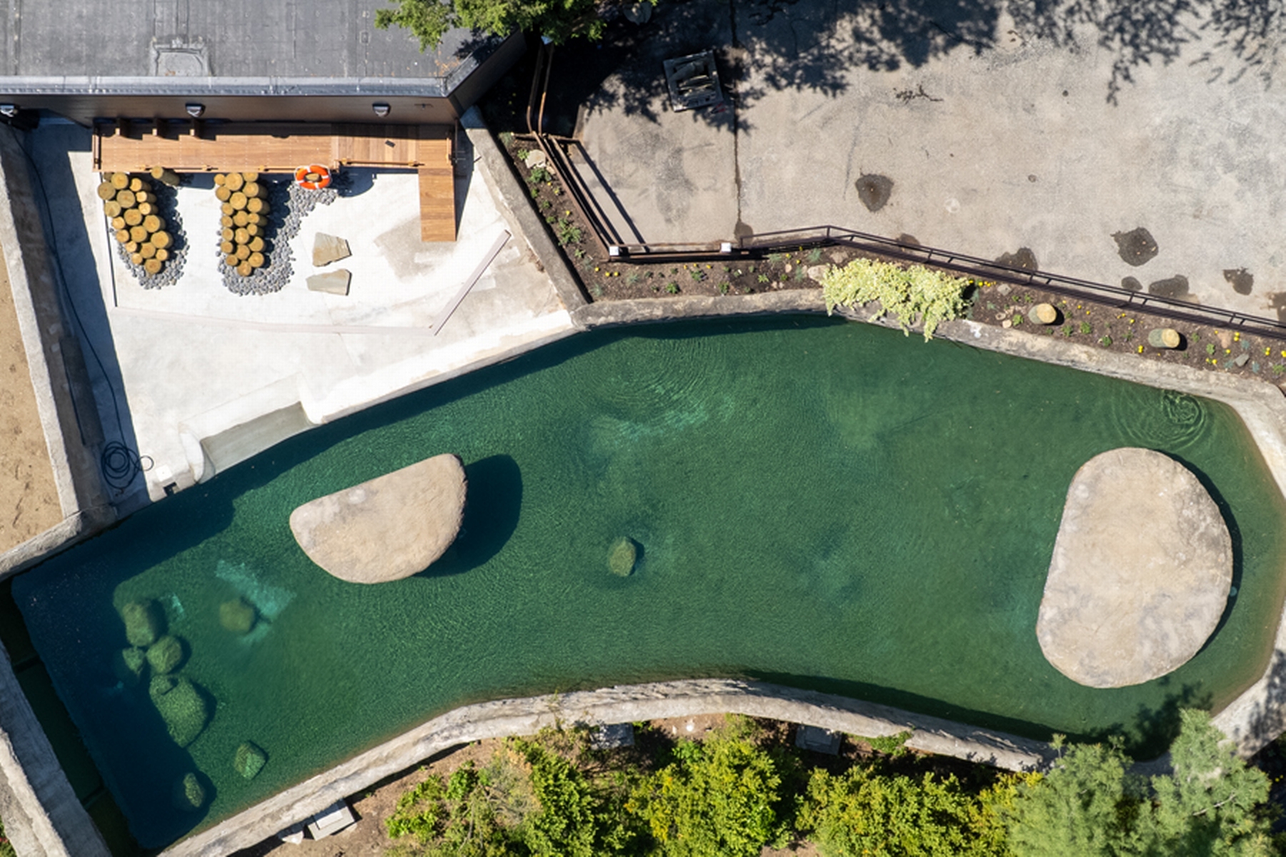 Overhead view of outdoor penguin pool