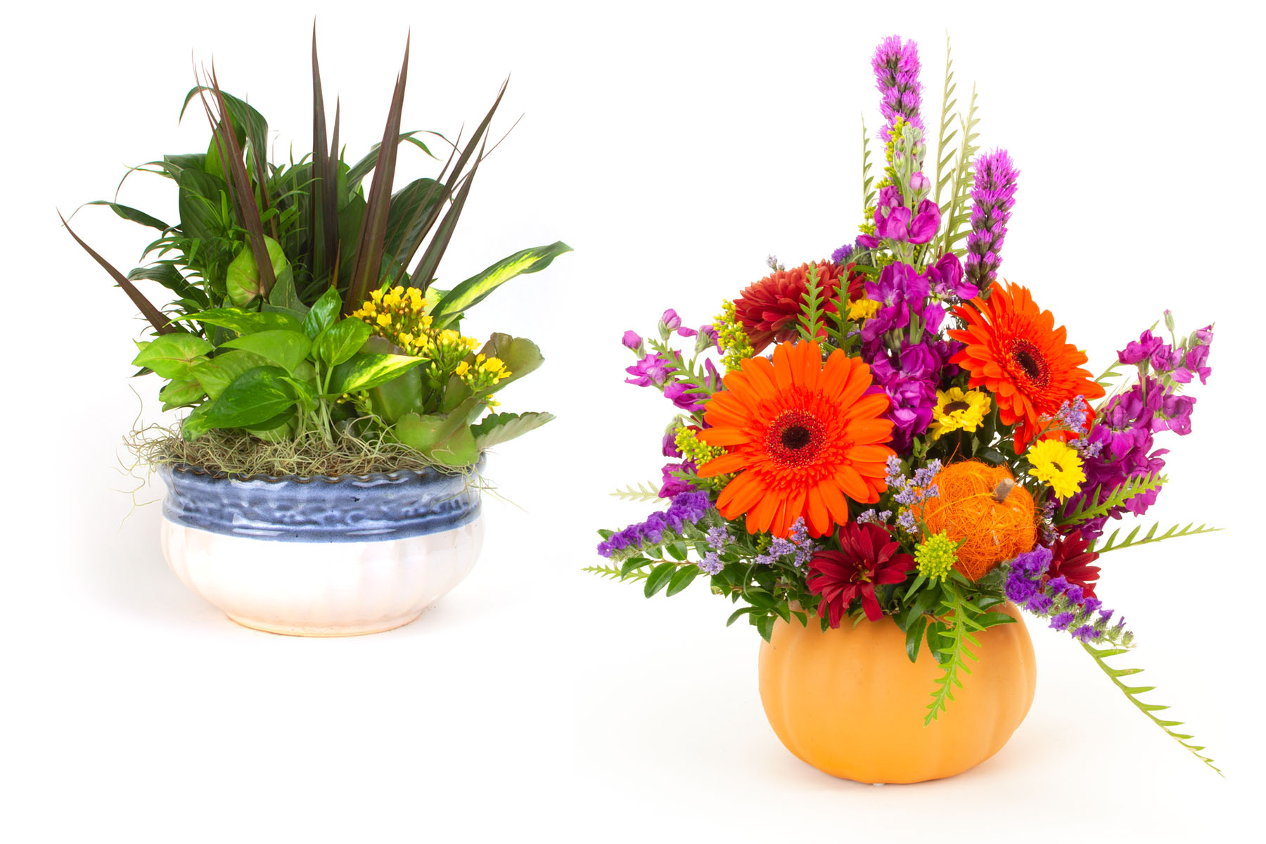 Seasonal floral arrangements from Dave's Marketplace